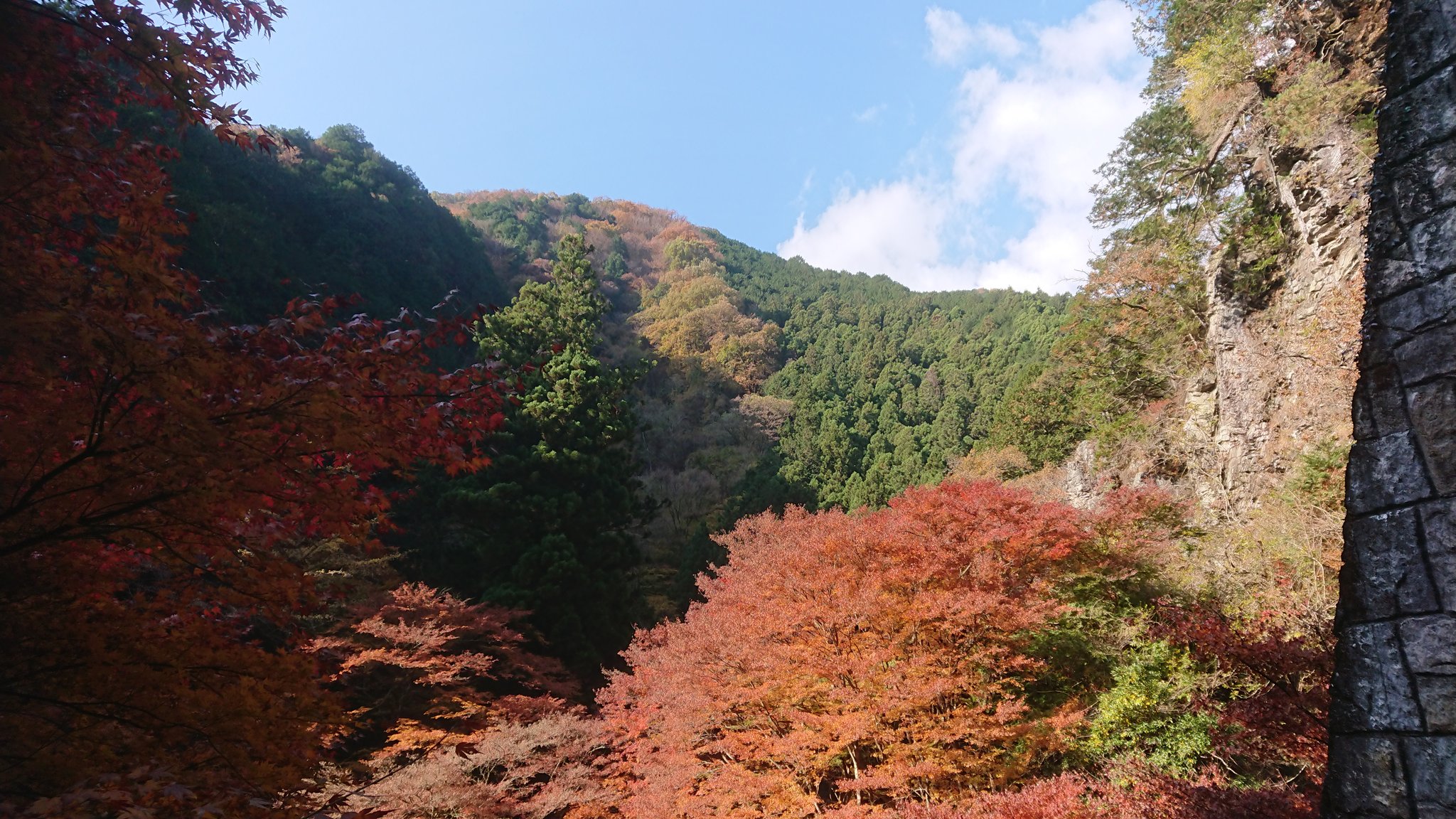 栃木県紅葉 Twitter Search Twitter