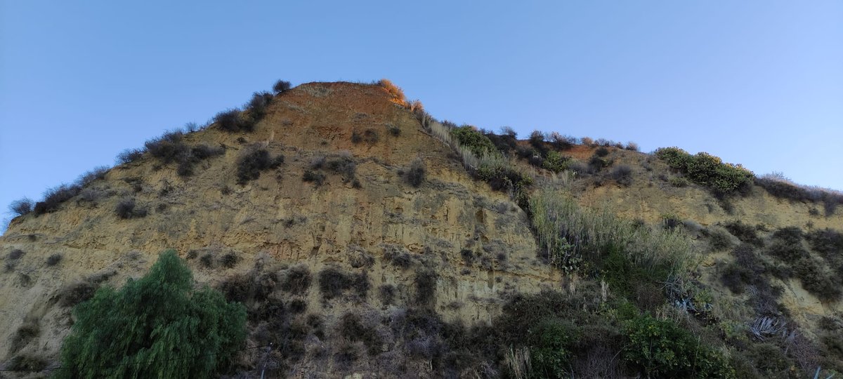 HuelvaTeMira's tweet photo. Tras los sobresaltos del pasado mes de agosto con las "limpiezas" ilegales 🚜⛰ en el #CabezoMundaka (BIC y Georrecurso), cada mañana, las guardianas de los #CabezosdeHuelva nos avisan si hay novedad o no con fotos y mensajes.

¡Muchas gracias, guardianas de los #CabeSOS! https://t.co/JscYHyNewP