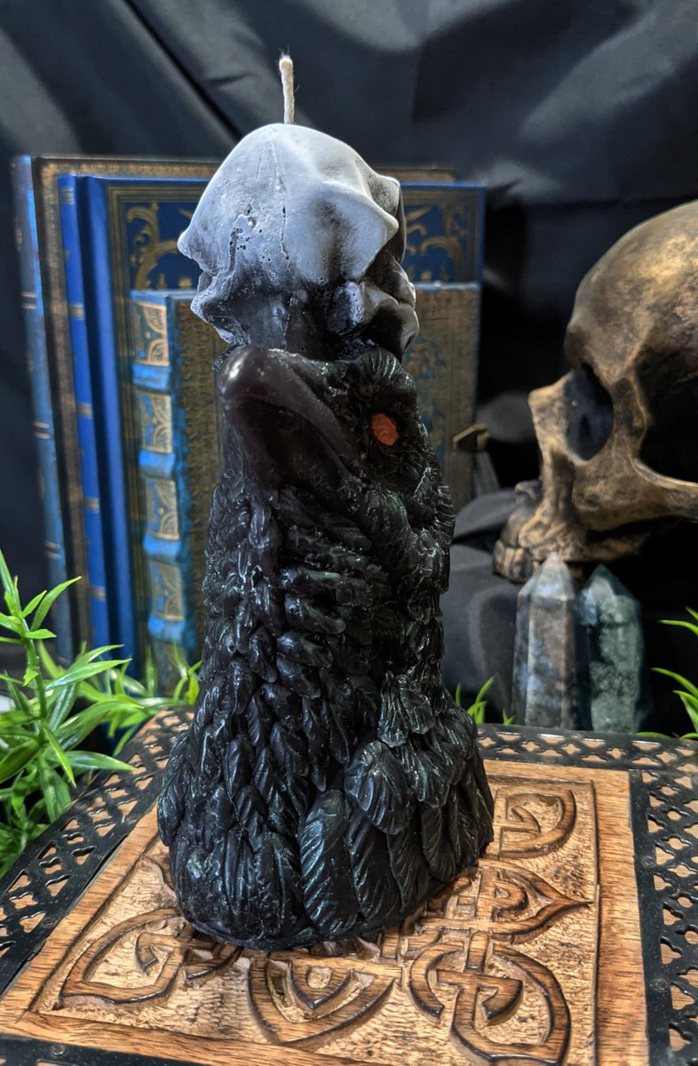 void_resonant's tweet photo. Where sentience meets the knowledge of mortality, we needn't fear, but know it as our end, and wear entropy like a crown.

https://t.co/7wYD36W5IY

A candle suitable for many purposes - it has been a gift before, to those of the Morrigan.

#candles #candlegifts #horrorprop #raven https://t.co/hbfC8aDgk1