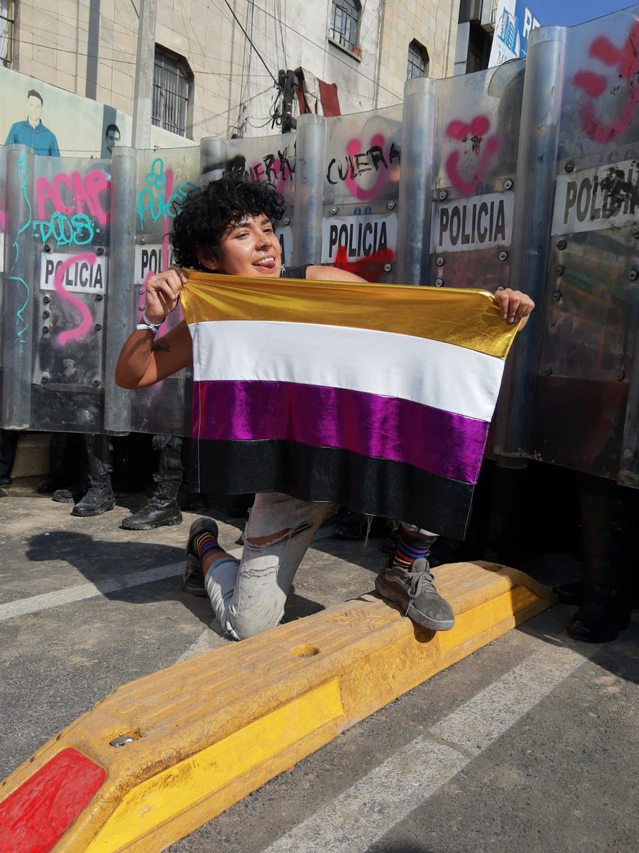 SoyHomosensual's tweet photo. Estas somos las personas a las que teme el @GobCDMX .  

Estas somos las personas a quienes la policía de @Claudiashein agredió con insultos, patadas y gas. 

@Lubruixa une de nuestres periodistas sigue documentando esta agresión a la Marcha de la #MemoriaTrans en CDMX. https://t.co/SQEDKoPuD2