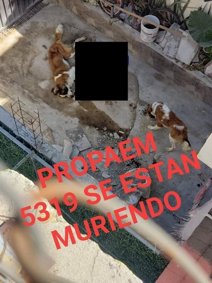 Eri Fernandez tweet media