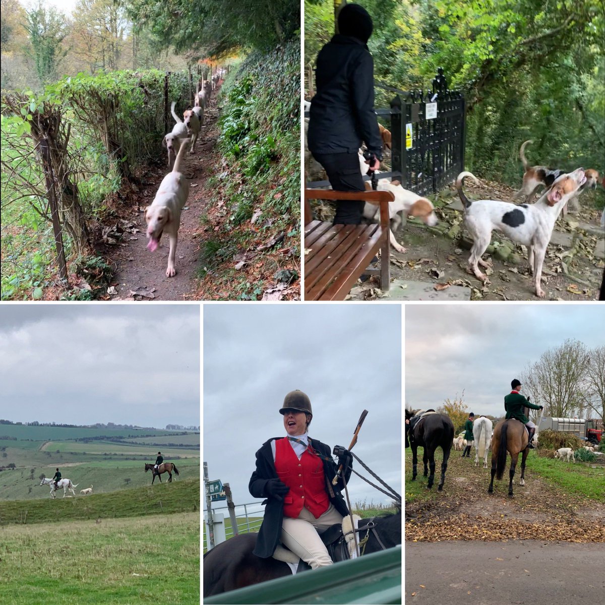 WiltsHuntSabs's tweet photo. @EnglishHeritage illegal hunting at Bratton Camp, Westbury White Horse and ancient Iron Age Fort today by the Royal Artillery Hunt, @landmarcNEWS and @MODPolice in attendance and didn’t stop them.  What do you think?  We have full videos. Full report here https://t.co/i3kX2RqDEh https://t.co/jnjOm1cj8o