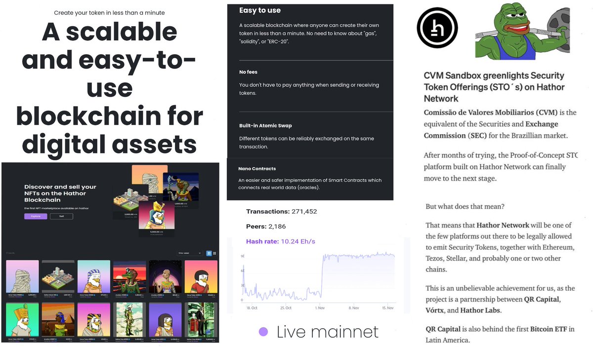 ฿ITCOIN🪬TRAPPΞR tweet media
