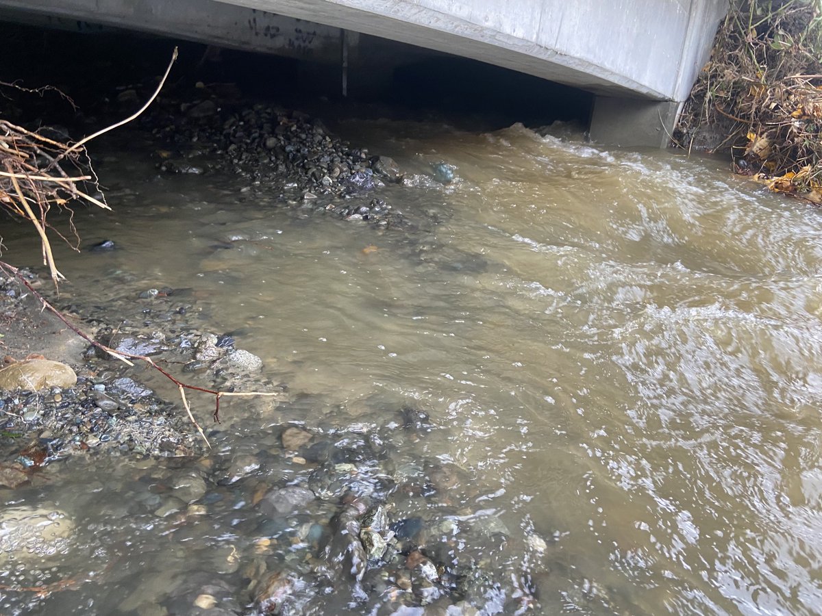 Garrett Olney tweet media