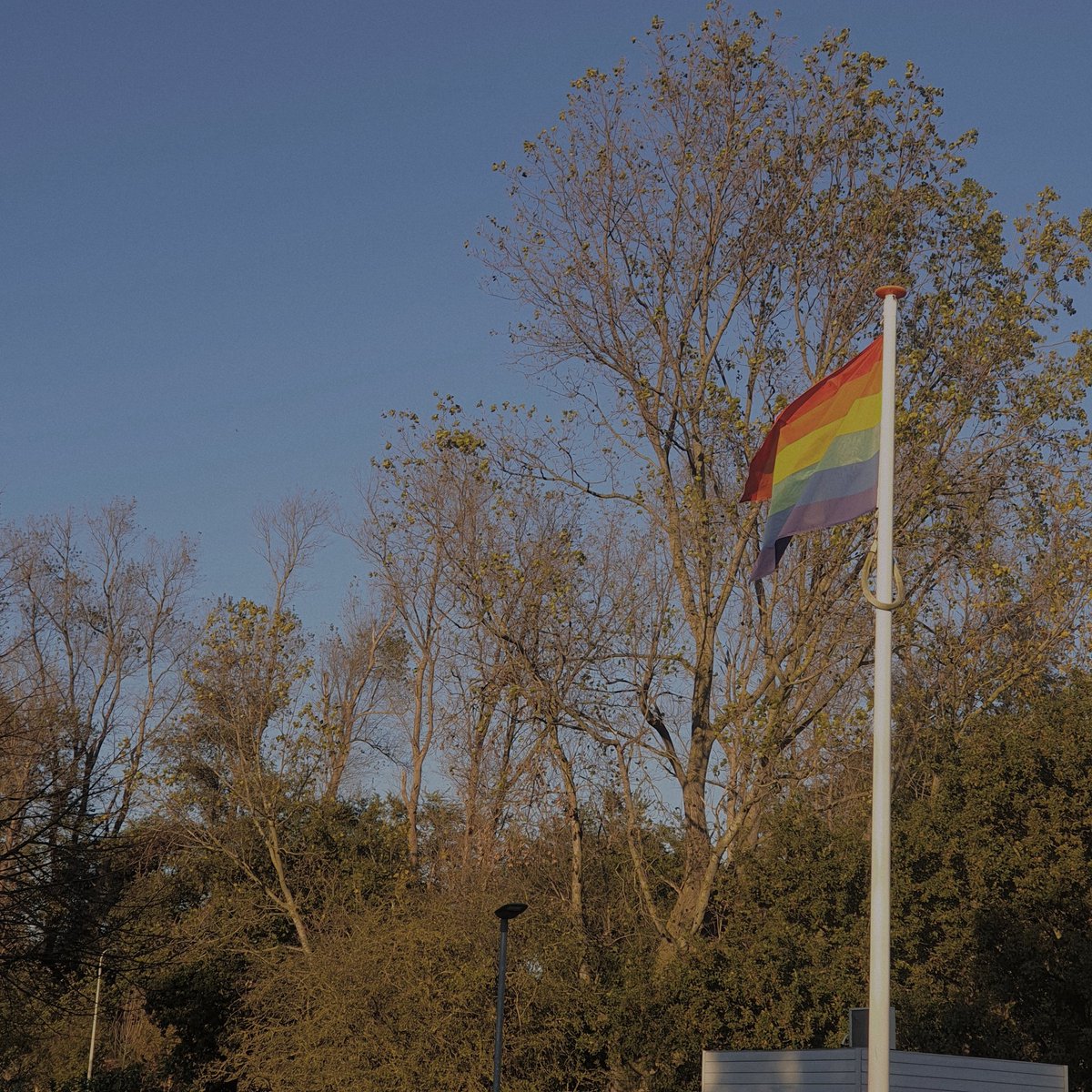 studiethn's tweet image. #studytwt re-introduction post 
(its been a while~)
→ hi I'm [ethan] (2003) {they/them}
→ entp, 8w9, ravenclaw
→ currently: IBDP Year 13
→ future: classics and literature studies
i hope to motivate myself and other enthusiastic academics here together (人 •͈ᴗ•͈)