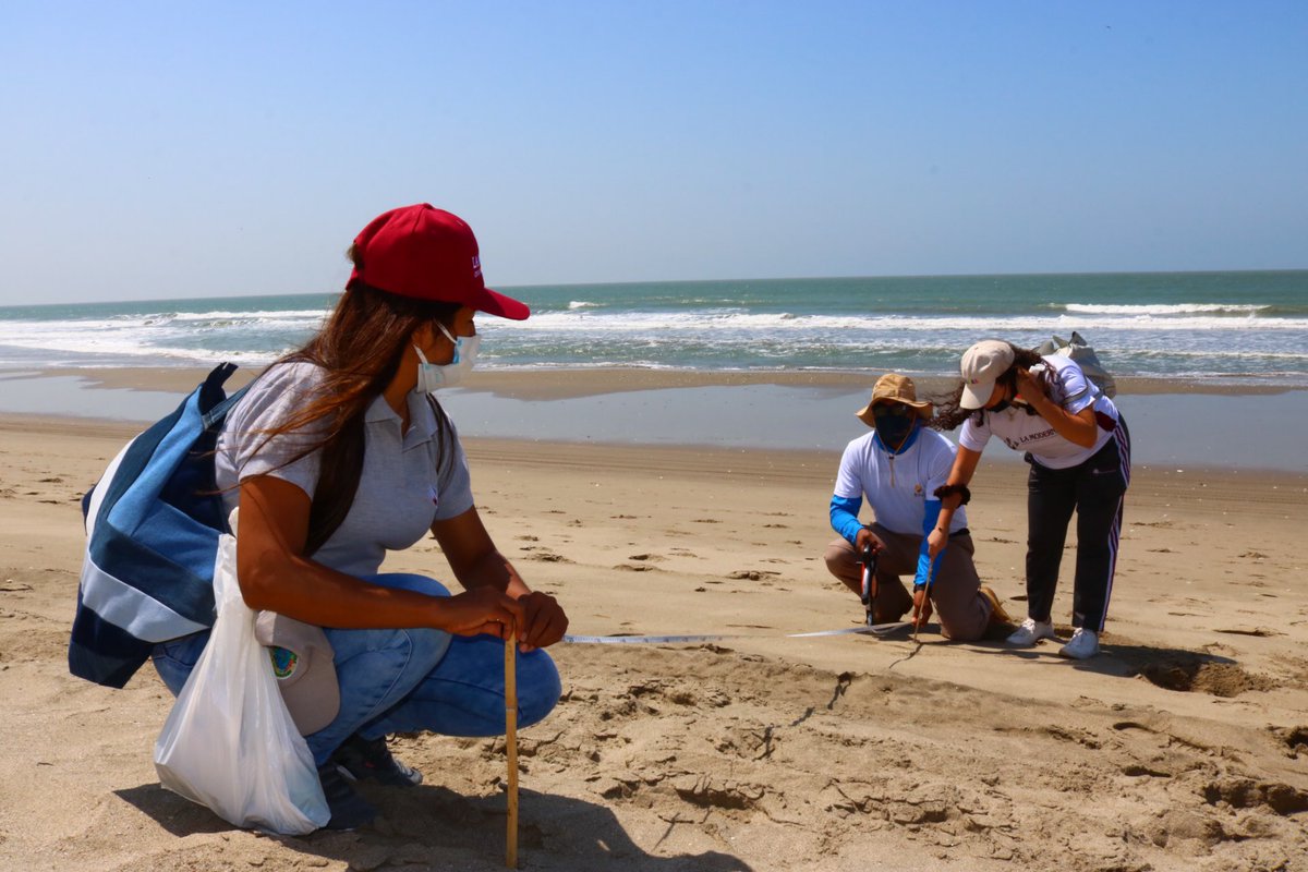 lamoderna_ec's tweet photo. Primer muestreo internacional de Macrobasura en playas de arena, donde nuestros estudiantes realizaron 6 estaciones donde la 1,3 y la 6 eran los más importantes.

@cdelabasura

#LaModernacuidalasplayas #reciba #cas #cientificosdelabasura https://t.co/WXRQ57esgi