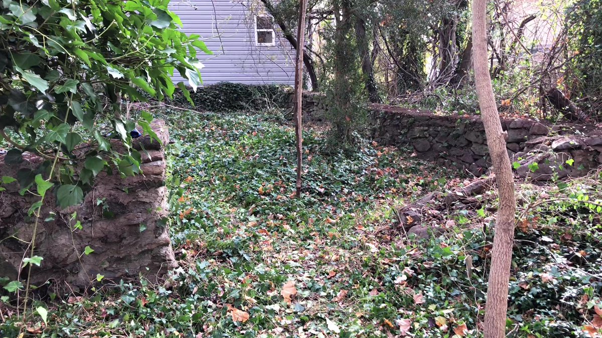 CRidgeFilms's tweet image. Did a short livestream video earlier from &quot;Cemetery Ridge Graveyard&quot; in Charlottesville, VA during my 5.5 hours of cleaning it up today. youtu.be/_L-cHNAwjHk