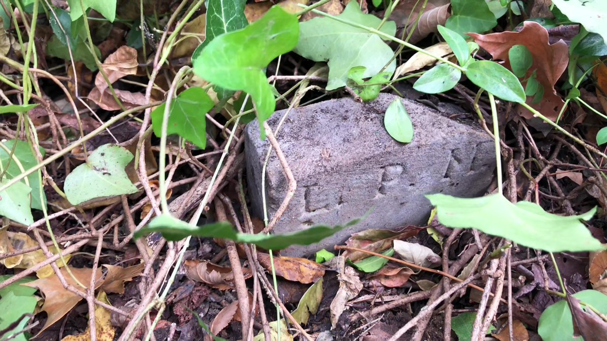 CRidgeFilms's tweet image. Did a short livestream video earlier from &quot;Cemetery Ridge Graveyard&quot; in Charlottesville, VA during my 5.5 hours of cleaning it up today. youtu.be/_L-cHNAwjHk
