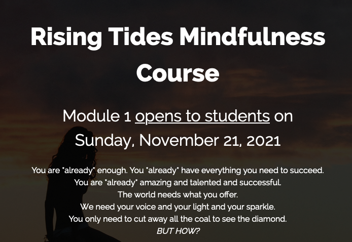 My course launches **tomorrow**

I used to think I loved to teach, but it's really that I love transforming lives.

#womenhelpingwomen

lynetteyoung.teachable.com/p/rising-tides