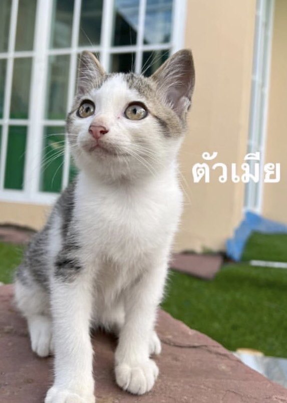𝙢𝙚𝙞𝙢𝙚𝙞 tweet media