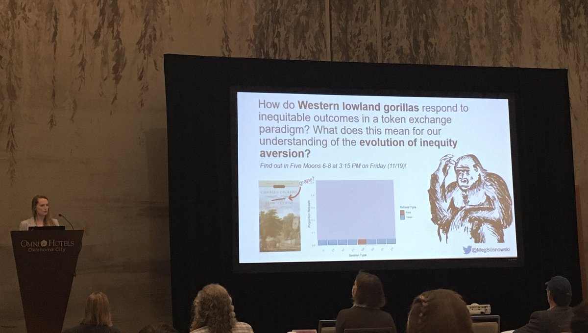 Huge congratulations to <a href="/MegSosnowski/">Dr. Meg Sosnowski</a>, who won the Outstanding Student Talk award for her work on inequity aversion (or not) in gorillas at #ASP2021!! #CEBUSlab <a href="/GSUPsychology/">GSUPsychology</a>