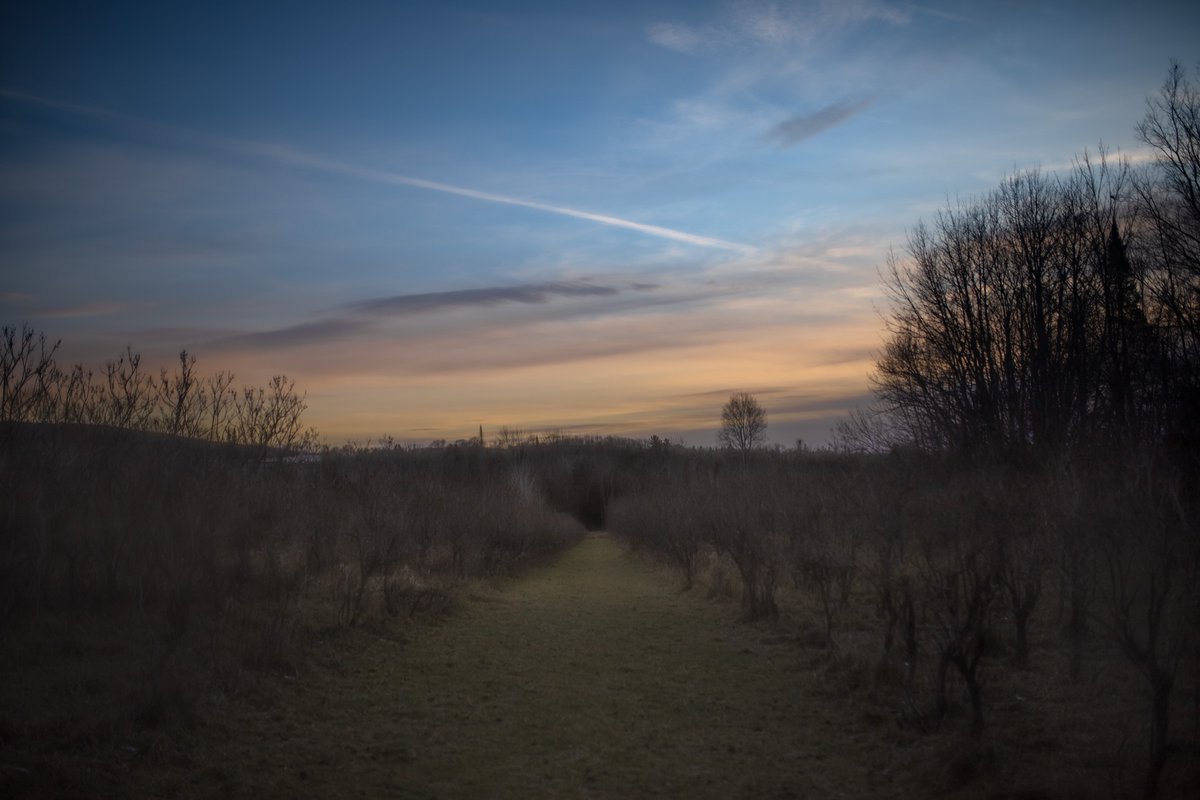 fotogosaurus's tweet photo. last light https://t.co/2Kp0qhd44Q #VT #Vermont #NewEngland #LastLight #Sunset #Clouds #SkyScape #Landscape #LandscapePhoto #LandscapePhotography #moment #Pause #LilacField #FlowerFarm #Farm #rural #Sigma #Canon #quiet #twilight #rest #LookUp #contrail https://t.co/ypdhbL5fWn