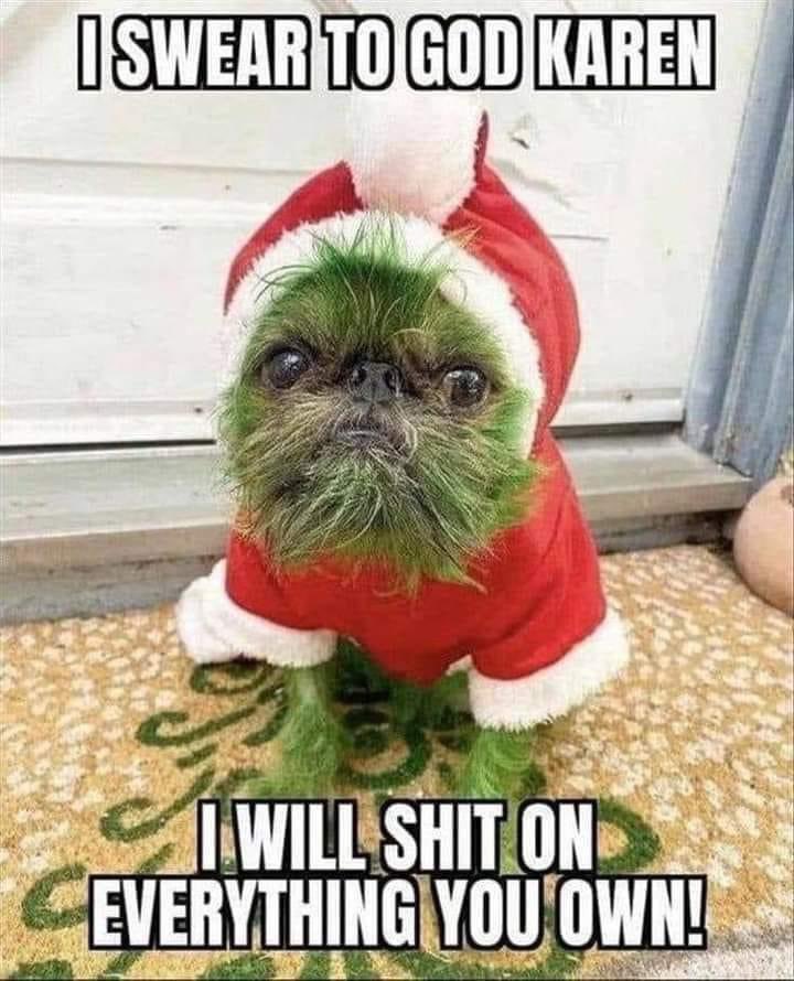 The O G Dixie On Twitter Don T Mess With Grinch Dog Https T Co G2axqmoxjn Twitter The O G Dixie On Twitter Don T Mess With Grinch Dog Https T Co G2axqmoxjn Twitter