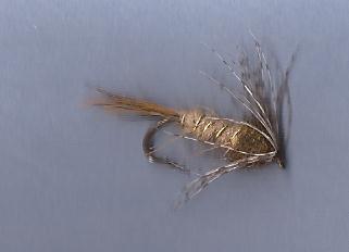 Adam Witt (@adamwit20742862) on Twitter photo 