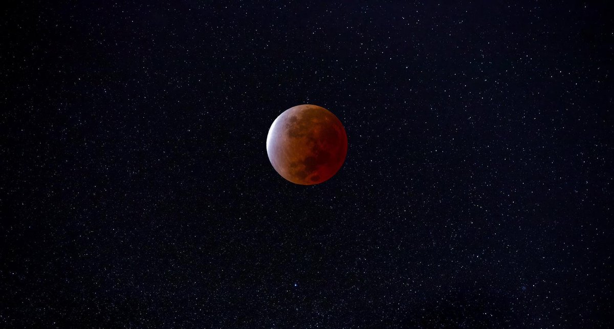 BoozerDPhoto's tweet image. GN, y’all.