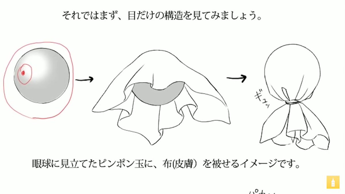 お絵かき講座パルミー 夏割実施中 立体感のある目の描き方講座 あなたのイラストはシールを貼ったような目になっていませんか ﾟヘﾟ まずは瞳や瞼の構造を把握することが大事 眼の構造を理解して立体感のある目を描けるようになりましょう