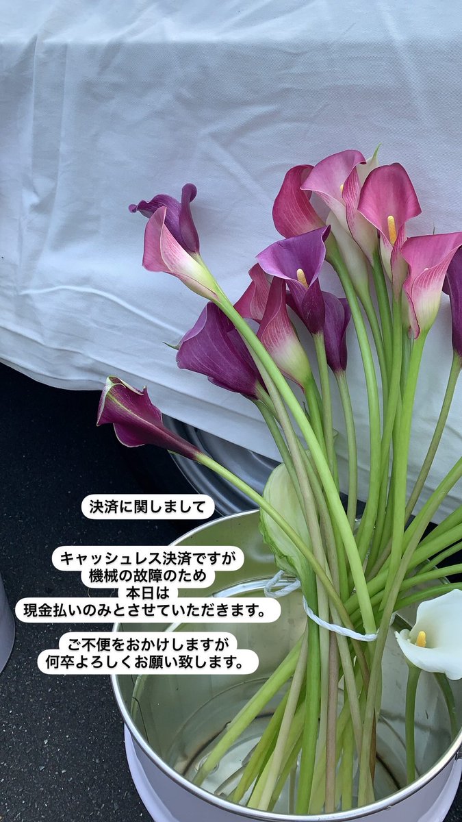 WithMii_0913's tweet photo. https://t.co/XNchwLR1st