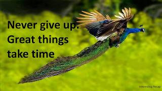 beepbeepnation's tweet image. Keep you eyes on the prize. The greater the prize, the longer the wait. #beepbeepnation #eyesontheprize #learntowait #nevergiveup