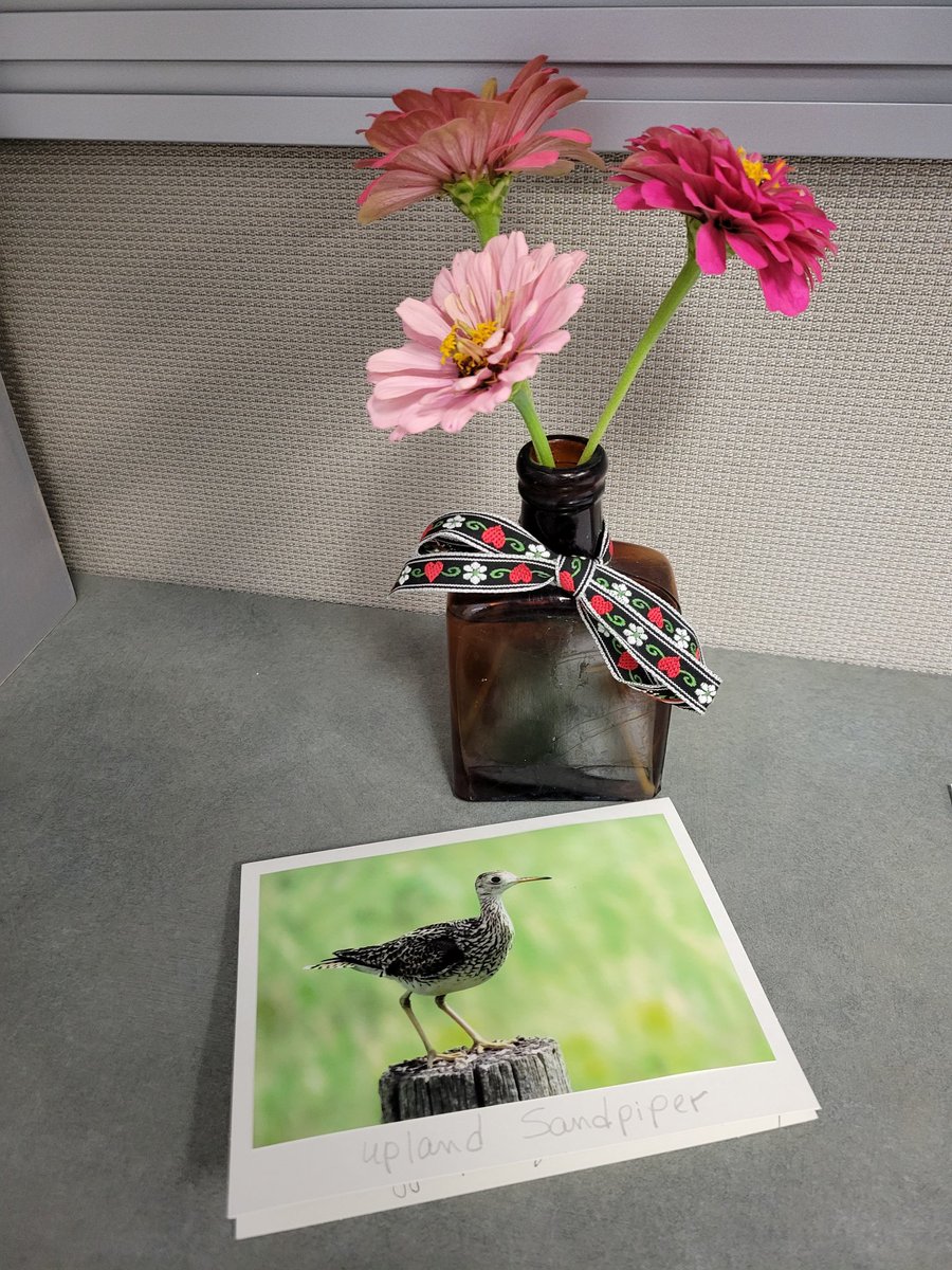 A very overdue Thank You <a href="/Charlot91080797/">Charlotte Jacobson</a> for your kindness! You are always a #CCRIDayMaker!