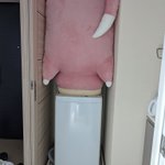 どうやって洗う？洗濯機よりデカいヤドン!w