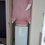 どうやって洗う？洗濯機よりデカいヤドン!w