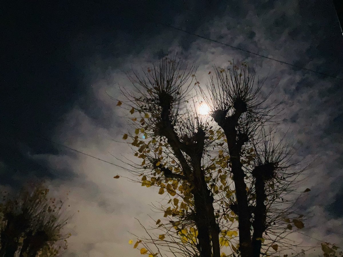 Pascal Glanville (@pascalglanville) on Twitter photo 