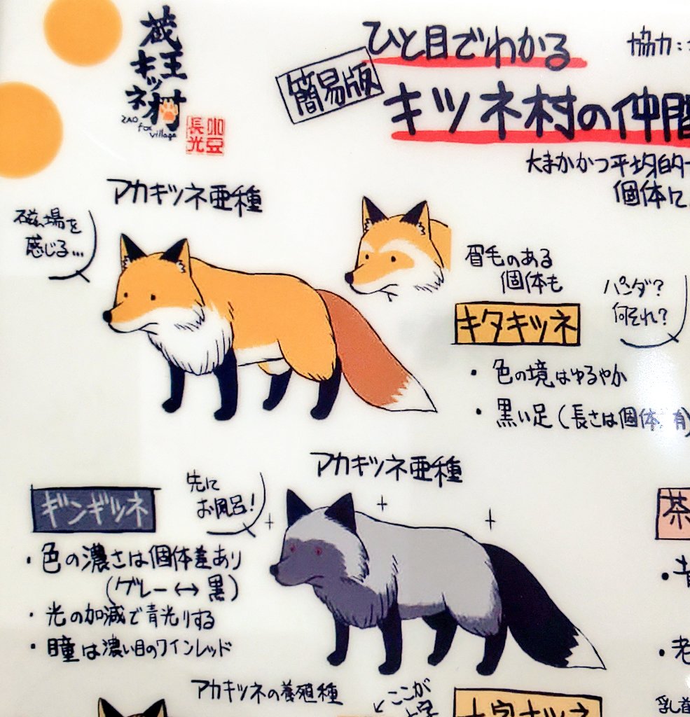 ん、このセリフ、どこかで…🦊 