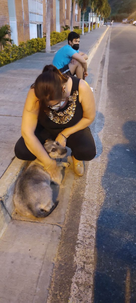 Sarahmesnik's tweet photo. @PerroUsuario Ya está felizmente adoptada https://t.co/apFo2nQIX9