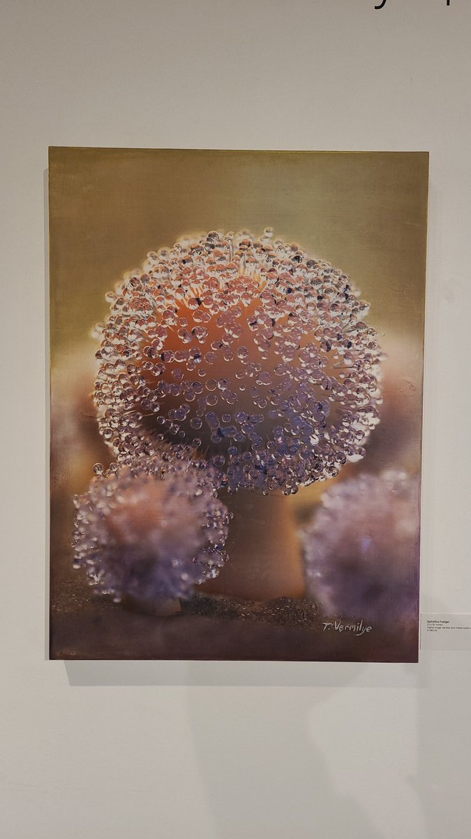 EdgeArtOrg's tweet photo. Travis Vermilye Sporangia this weeken at EDGE https://t.co/BtO24x50dX