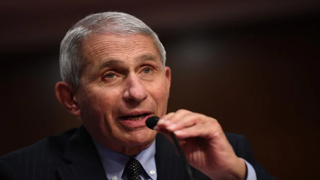 thehill's tweet image. Fauci says babies, toddlers could be eligible for COVID-19 vaccine by early 2022 hill.cm/C0hHFnW