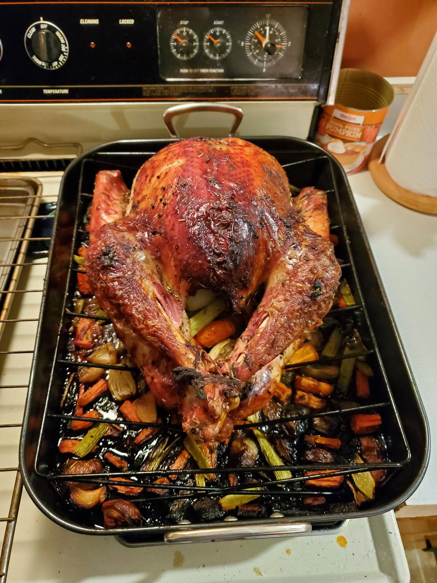 AuthorMEKennedy's tweet photo. Test turkey before Thanksgiving. My husband has been on a quest for years to make the tastiest turkey for the least amount of effort. Kinda weird to have a roast turkey without any of the other fixin's, though. https://t.co/Wz5O11AeIr