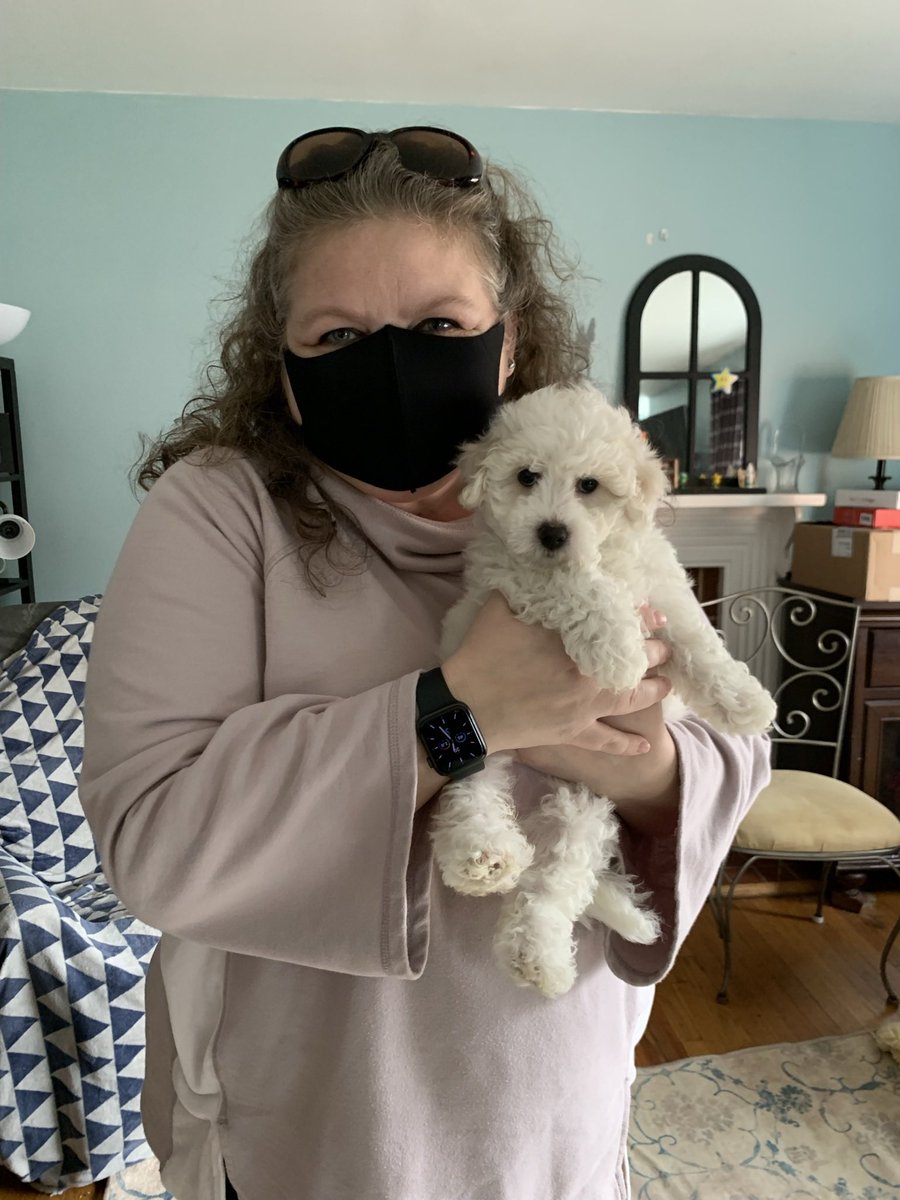 ProfMariaBoyd's tweet photo. Hi Twitter! Meet my new pup, Margaret! https://t.co/OY7sfw8uka