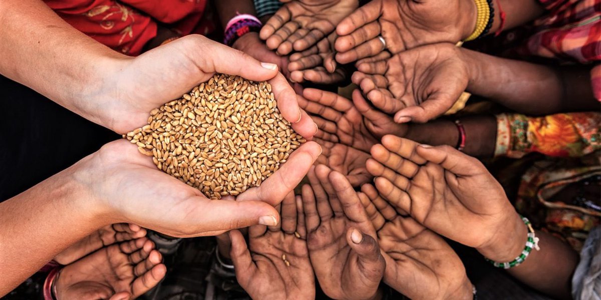 CHARITY20002's tweet image. we are a charity company that helps mainly sick people if you want to get involved and help as much as you can write to us!  🙏 #charity #charity #CHARITY #charityauction #LeaveNoDoubt #BlackLivesMatter #WaterIsLife #HELP #help #helpinghand #HELP