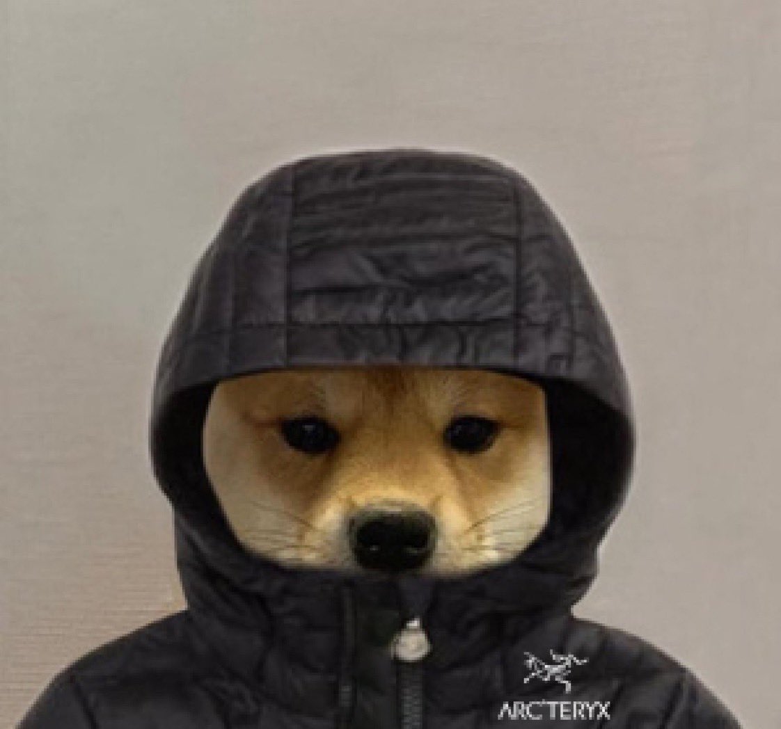 SummTimesSad's tweet image. lüh cool dude