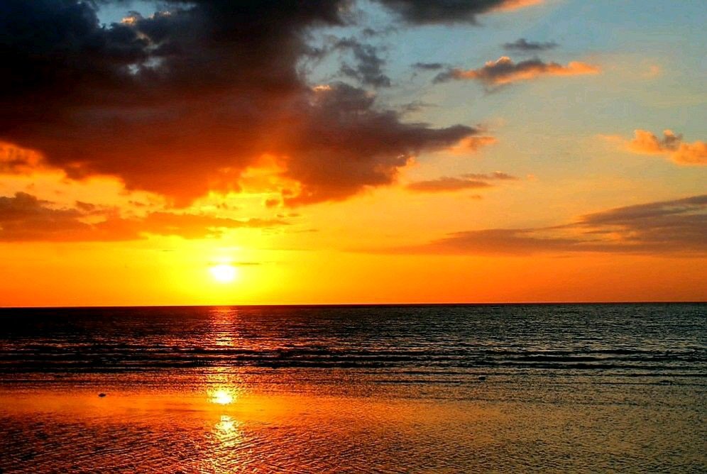 Michael Barone tweet media