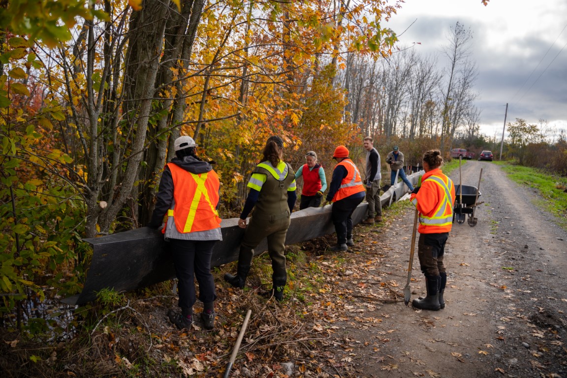 ecokare's tweet photo. Just finished this job last week (https://t.co/7IPfkM64tL) and now have graduated from the BeaverCorps program with the Beaver Institute. We are now Beaver Wetland Professionals certified to install pond levelers at road culverts saving turtles, beavers and municipalities $. https://t.co/iZh9toqQoB