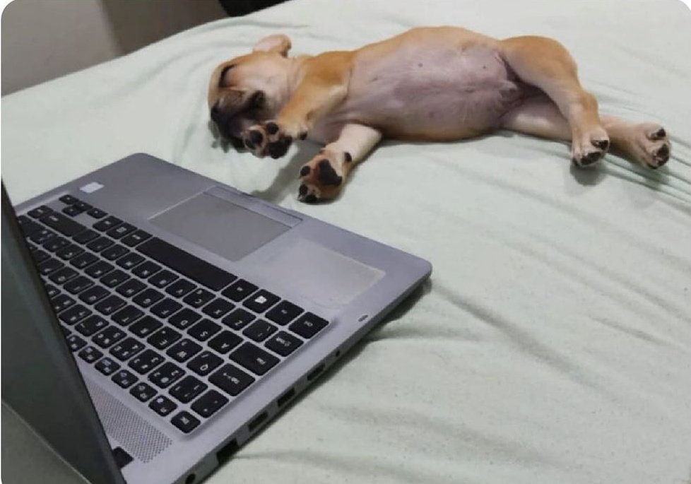 ifdramatico's tweet photo. Eu depois de estudar 15 minutos https://t.co/xeMuBz1DWq