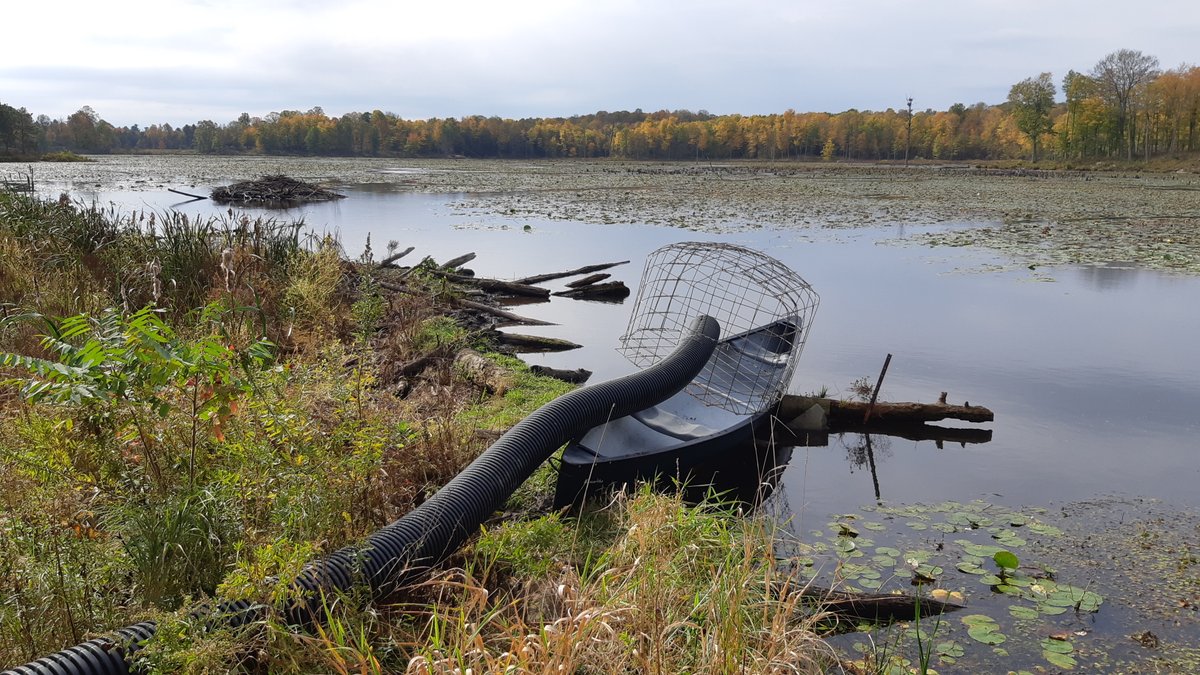 ecokare's tweet photo. Lost Lake Nature Reserve, the road almost flooded, the culvert was plugged, a diversionary dam was built and a pond leveler installed into the dam. Saving the habitat of 100's of endangered turtles! https://t.co/egS5yyJeSI