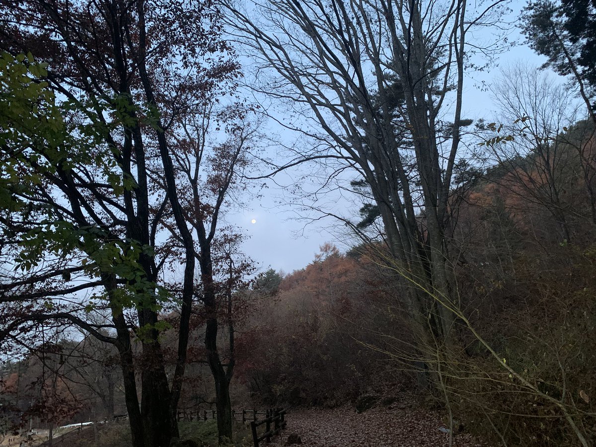 W6ppA's tweet photo. 出勤前に朝練⛰ https://t.co/iUC0qNXheB