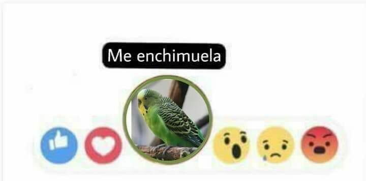 Cerveza Báltica (@balticachile) on Twitter photo 