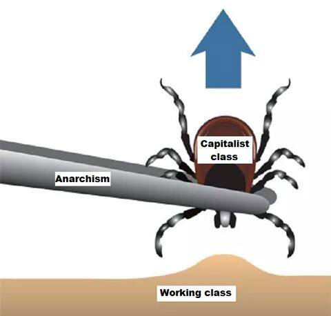 IWAAIT's tweet photo. Let's be clear, the tick is your boss. Unionise. Organise. Collectivise. https://t.co/aJWgLpp4y5