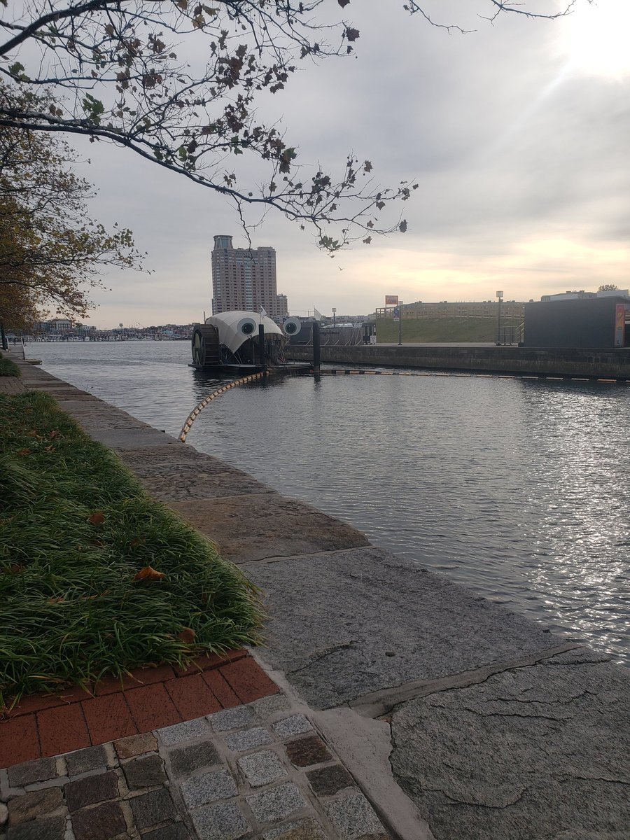ScienceShayna's tweet photo. Made it out to @MrTrashWheel in Baltimore today! https://t.co/nMMSk59uFz