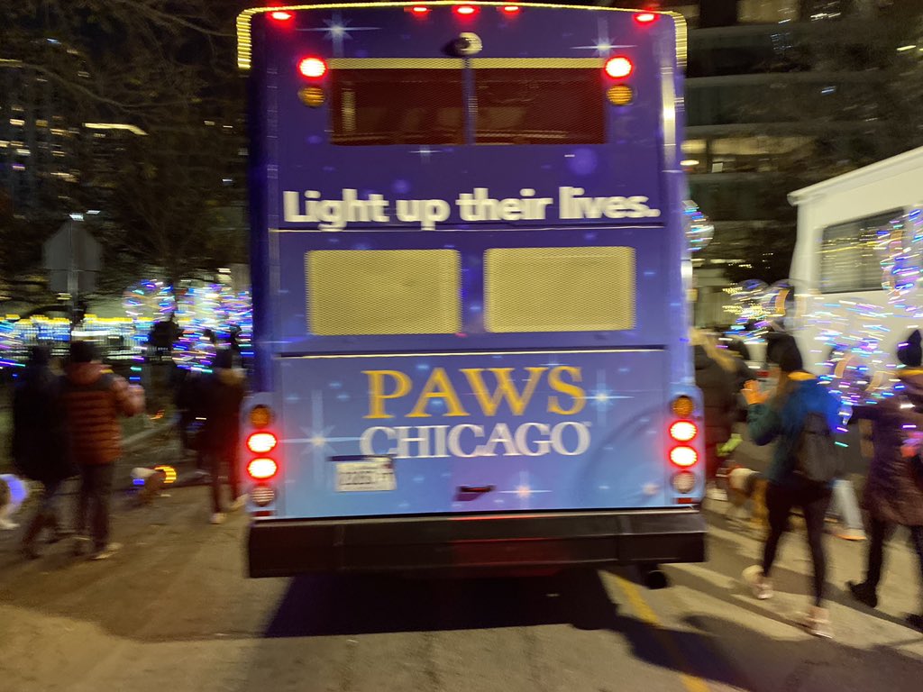 PAWSChicago's tweet photo. #LightUpTheirLives https://t.co/lomAujvvvH