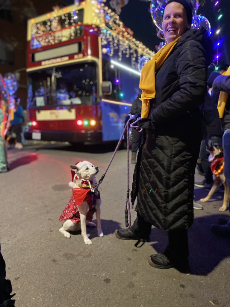 PAWSChicago's tweet photo. #LightUpTheirLives https://t.co/lomAujvvvH