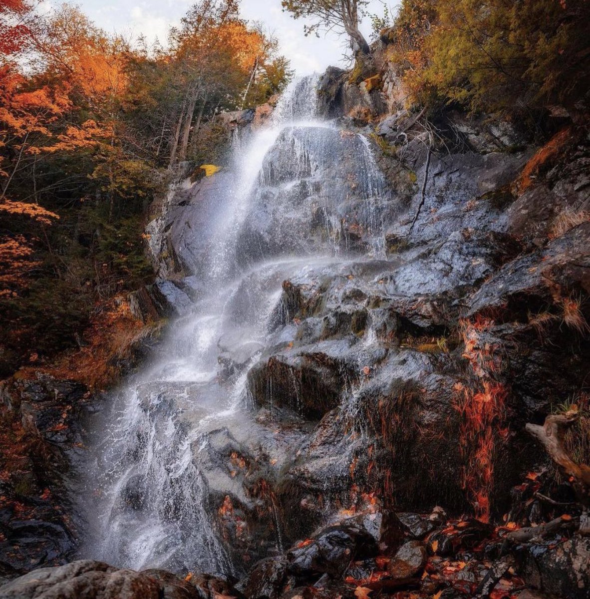 wanderlust_ny's tweet photo. The Adirondack High Peaks offer some of the best views in all of the New York State…or the country for that matter! 🍁🏞🍃#explore #NY #upstate #peaks #wanderlust https://t.co/4IbArLss9O
