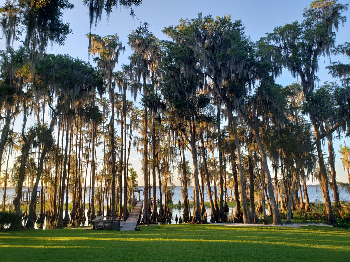 PlayHardFlorida's tweet photo. We'll take weekend views like this anytimeπ
#playhardflorida #howdoyouplay #protectwhereweplay #roamflorida #lovefl #florida #vacationflorida #TheWaterState #floridalife #exploremore #floridaliving #pureflorida #floridafun #floridavacation #getoutthere #adventurelife https://t.co/tmlcdcuC3y