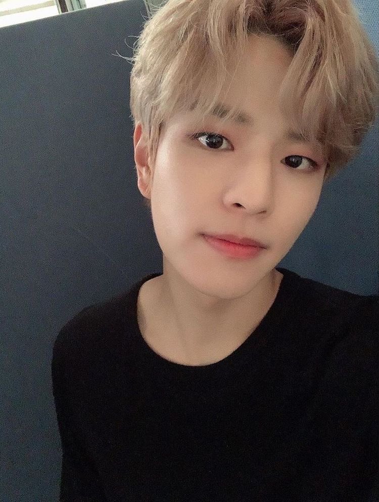 KSMVITY's tweet photo. @peterhanjii @seunglixsimp he went blonde for a short time😭 https://t.co/E2R0wyA6jv