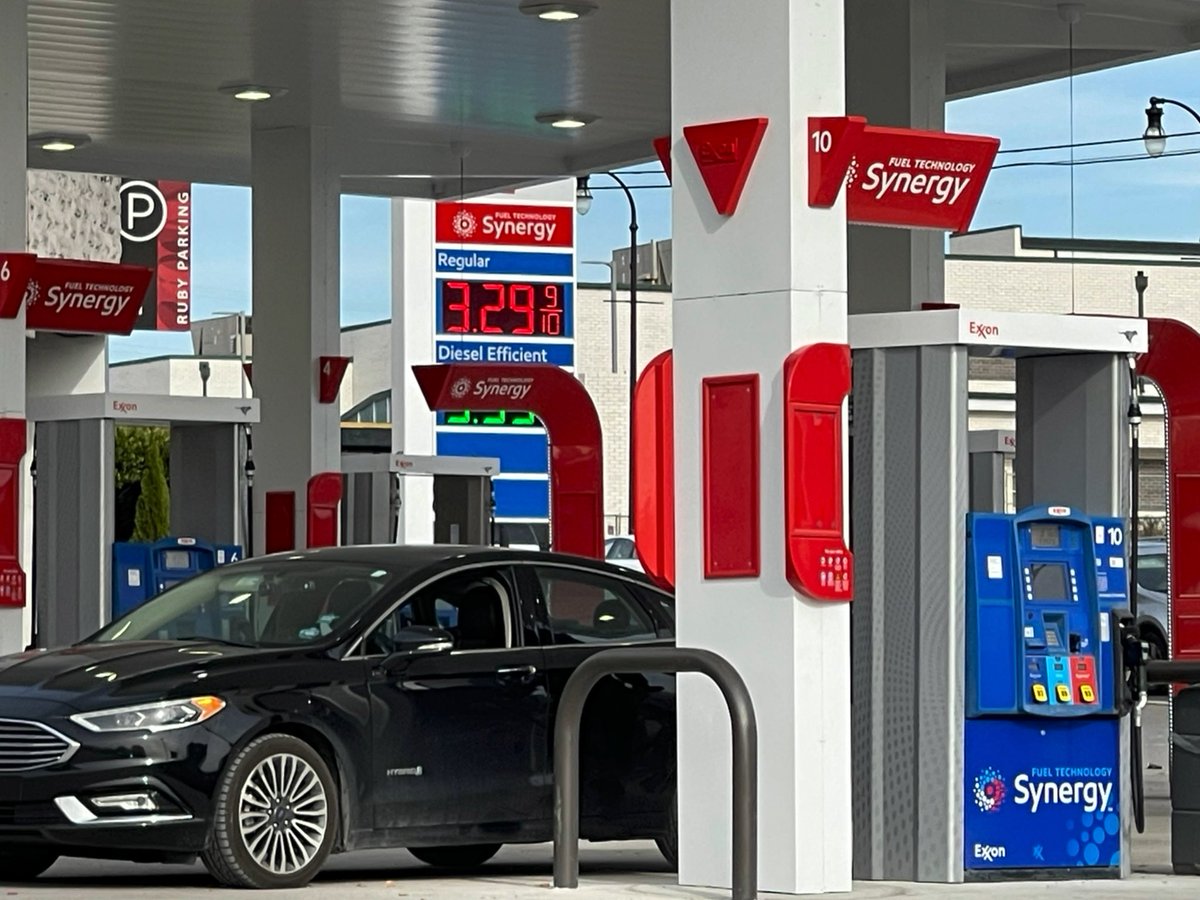 Lauren Windsor tweet media