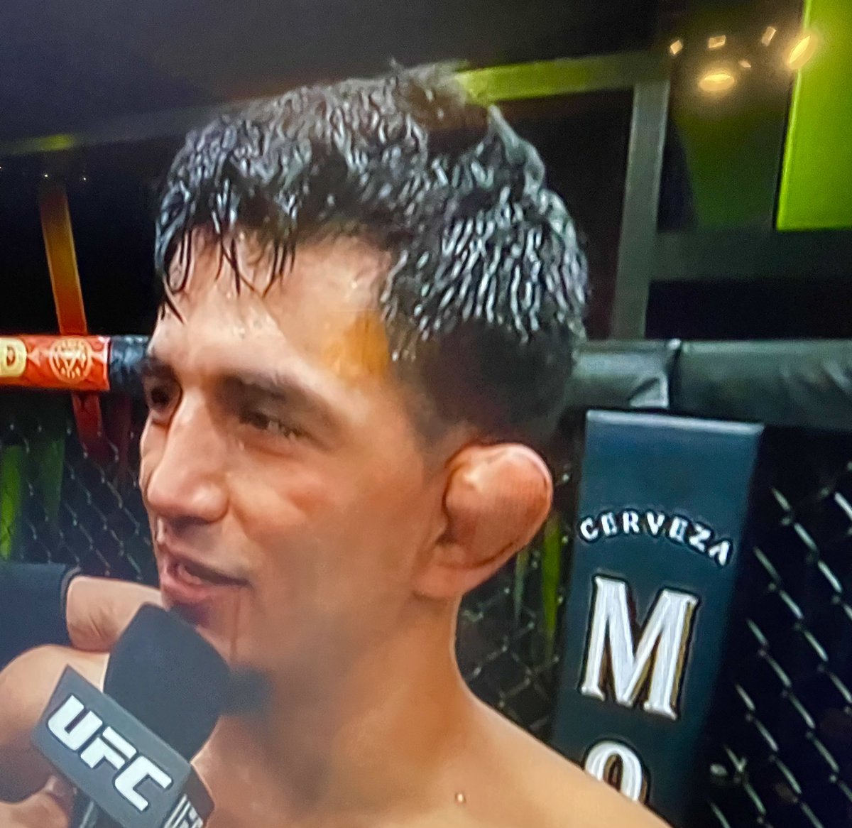 Jessica Knapik ✨ tweet media