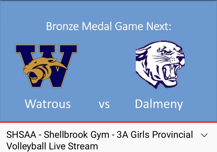 twmnews's tweet photo. The Winston Wildcats are playing for bronze at 3A provincial girls volleyball in Shellbrook Saturday evening against Dalmeny. Here’s the link to the livestream: https://t.co/h8i7mceBSw https://t.co/gR96H1uTIP